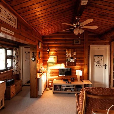 Rustic Log Cabin In Snowdonia By Seren Short Stays Trawsfynydd Exterior foto
